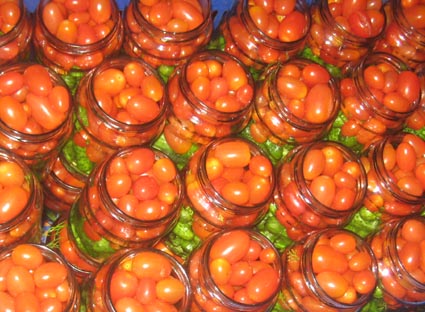 processing assorti gherkins & cherry tomatoes